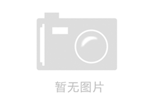 WD-100100D大型通道式双源双视觉X射线安检机